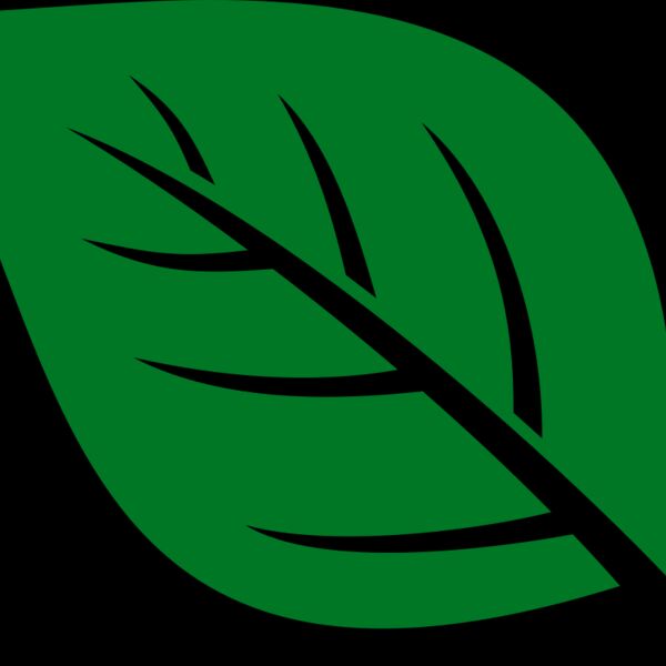 Leaf Thumbnail