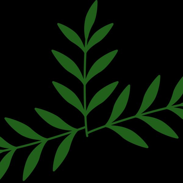 Leaves 2 Thumbnail