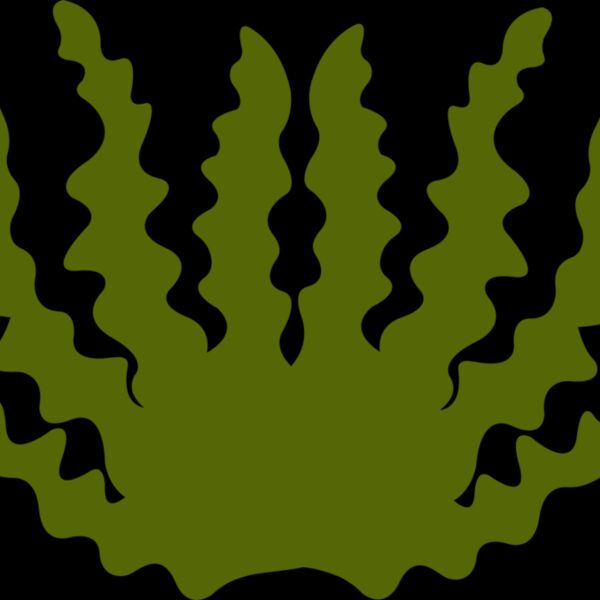 Sea Plant 2 Thumbnail