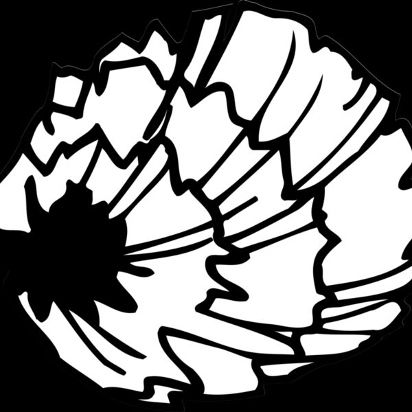 POM01 Thumbnail