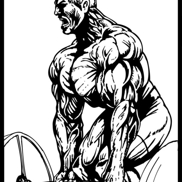 wgt14 Thumbnail