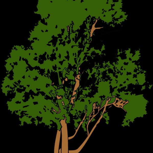 tree1 Thumbnail