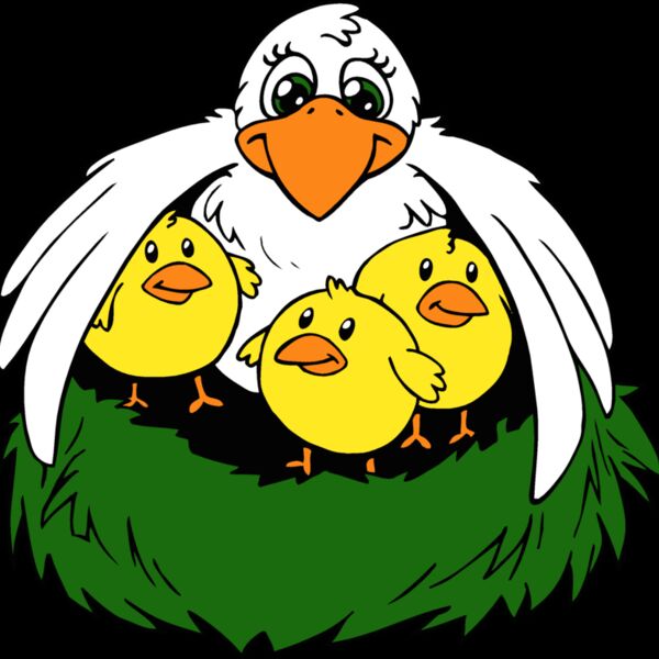 chicks1 Thumbnail