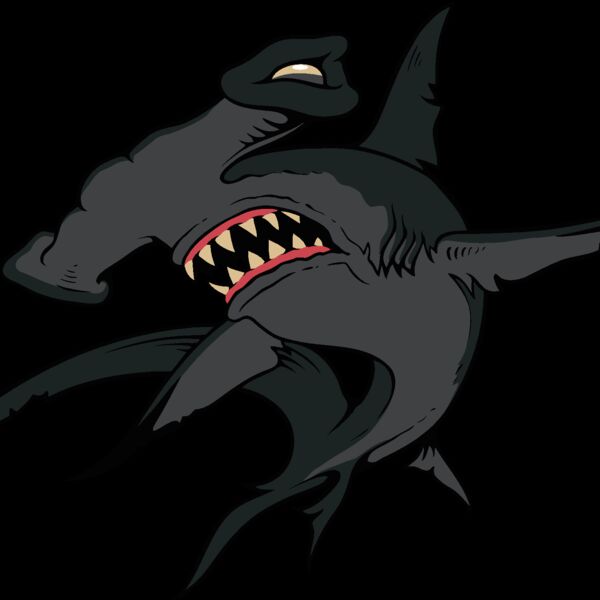 es3shark01clr Thumbnail