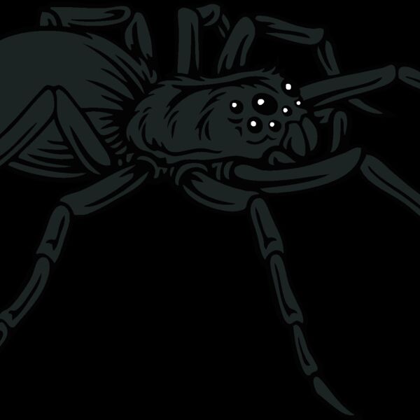 es2spider001clr Thumbnail