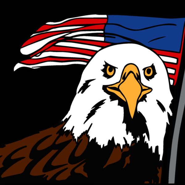 eagleandflag1 Thumbnail