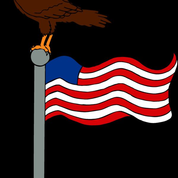 eagleandflag1 Thumbnail