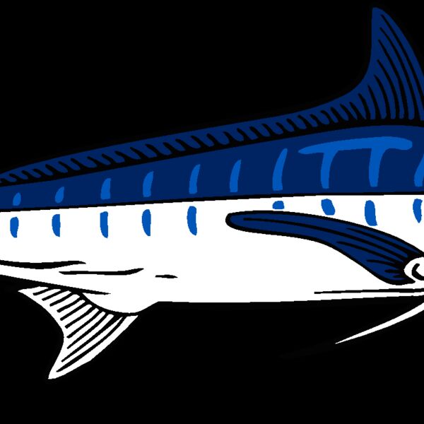 marlin Thumbnail