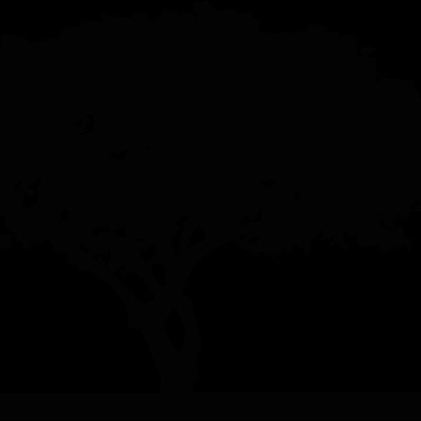 tree1 Thumbnail