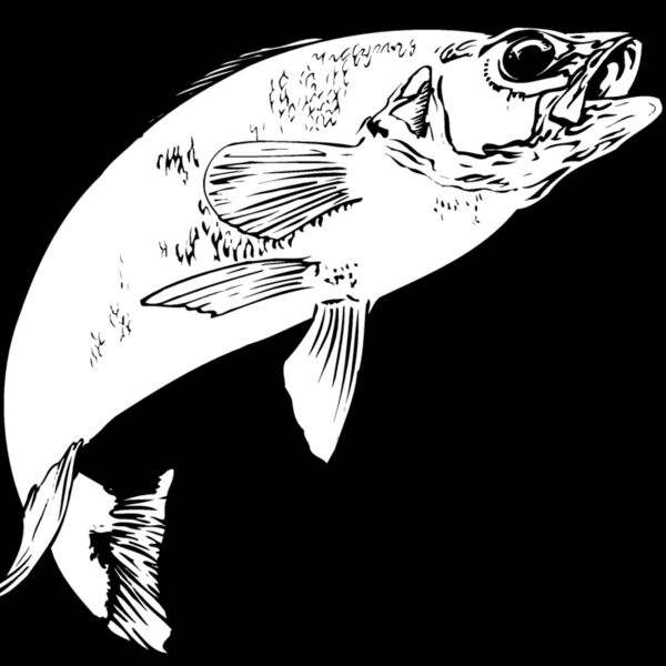 fish Thumbnail