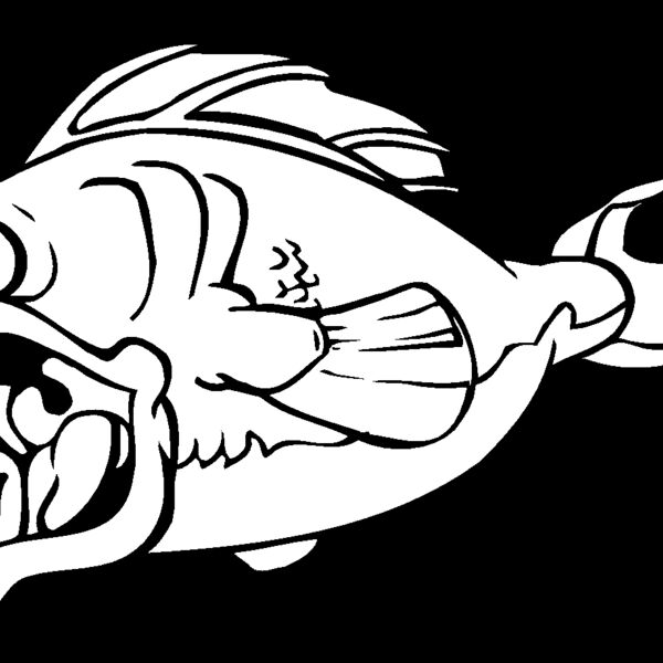 fish2 Thumbnail