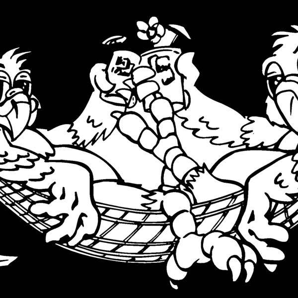 parrots Thumbnail