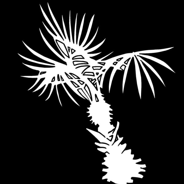 landscapepalm Thumbnail