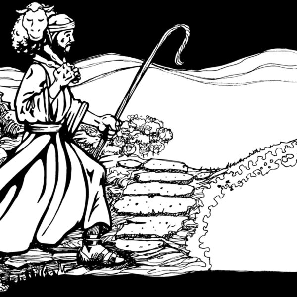 shepherd Thumbnail