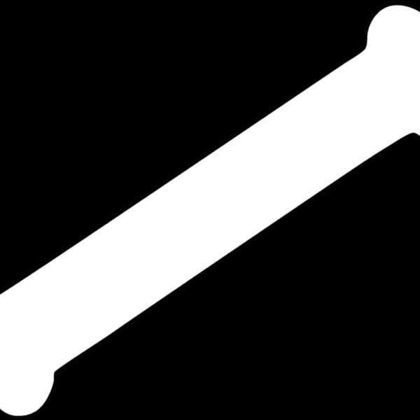 bone2 Thumbnail