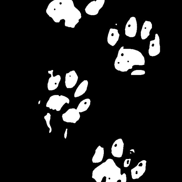paw prints Thumbnail