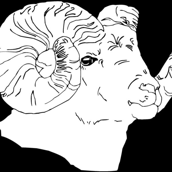 nabighorn Thumbnail