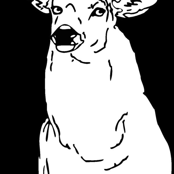 mule dee Thumbnail