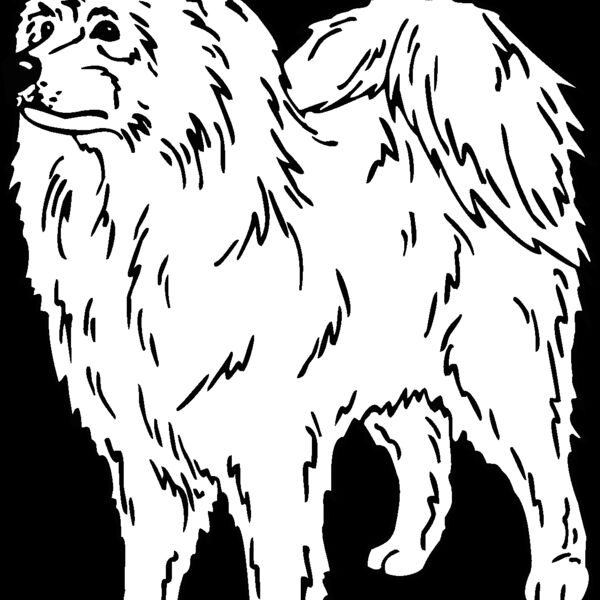 samoyed01 Thumbnail