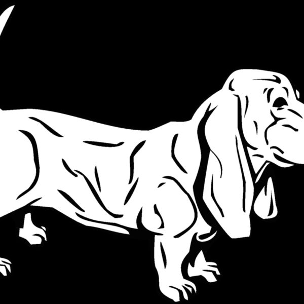 dog Thumbnail
