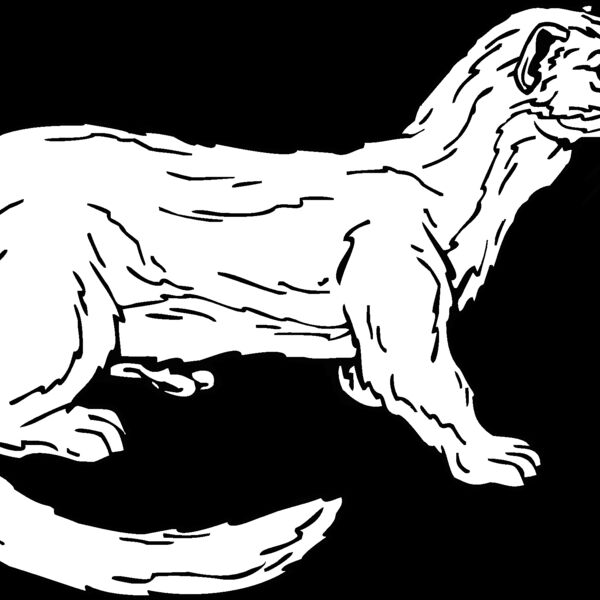 weasel2 Thumbnail