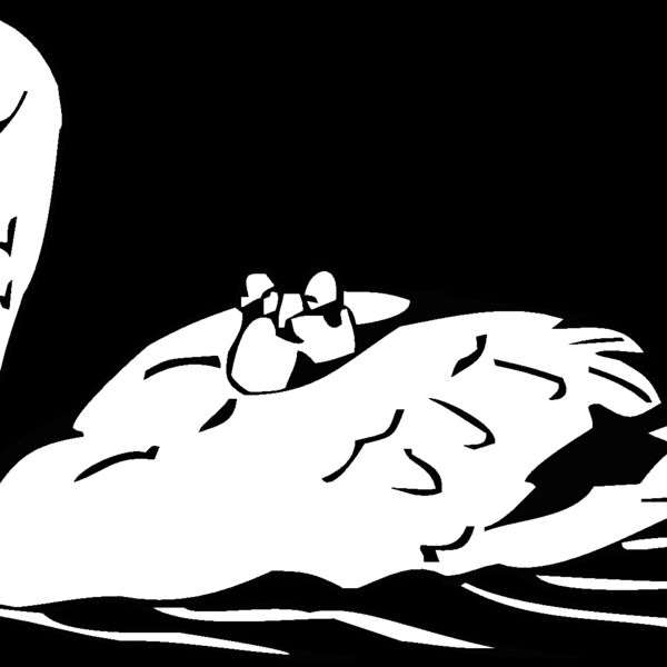 swan Thumbnail