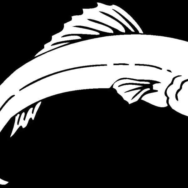 fish2 Thumbnail
