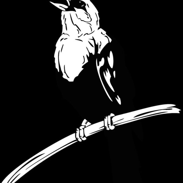 blackbird Thumbnail