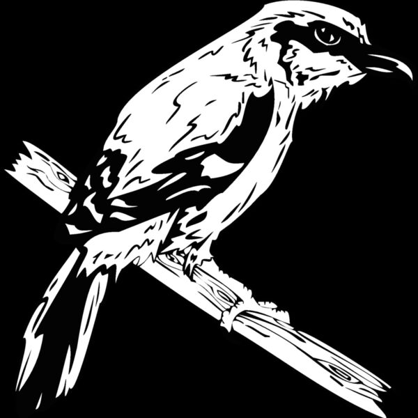 bird11 Thumbnail