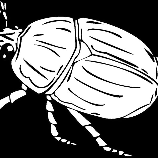 beetle2 Thumbnail