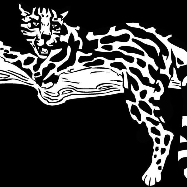 ocelot Thumbnail
