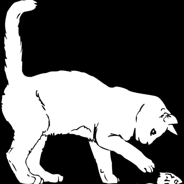 kitty w  Thumbnail