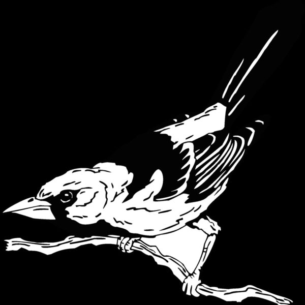 oriole Thumbnail