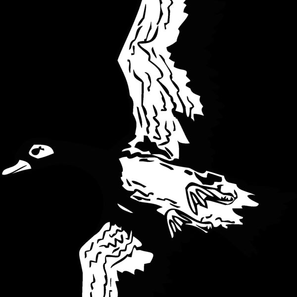 goose1 Thumbnail