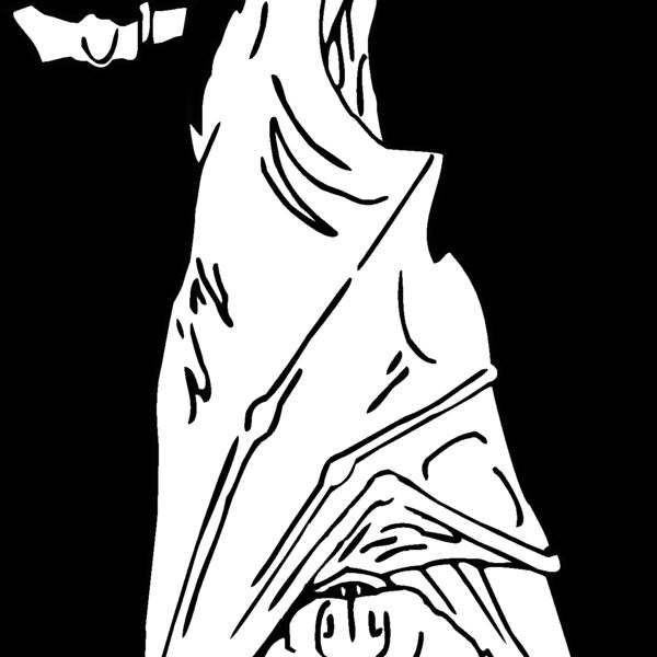 bat7 Thumbnail