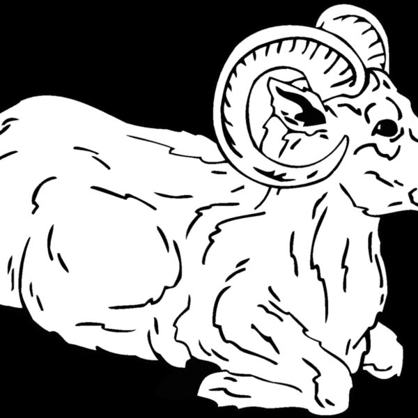 ram2 Thumbnail