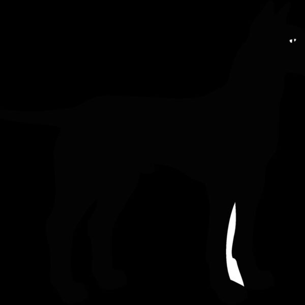 manchester terrier Thumbnail