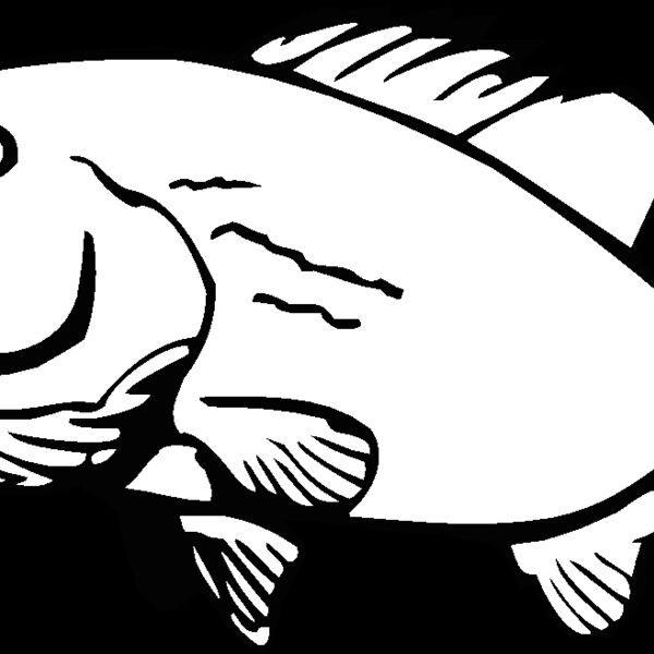 bass2 Thumbnail