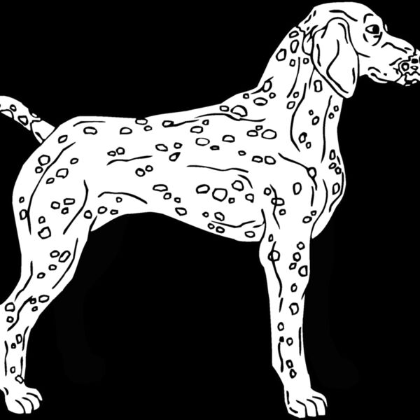 german weimaraner 3 Thumbnail
