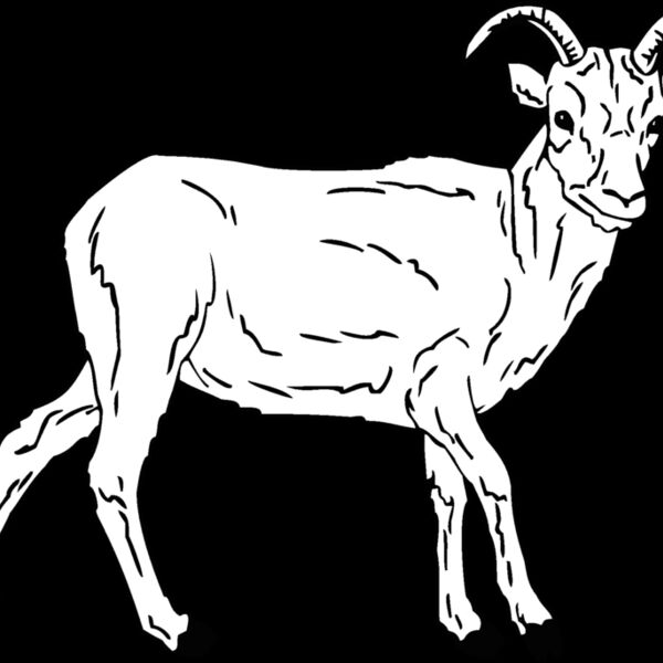 goat Thumbnail