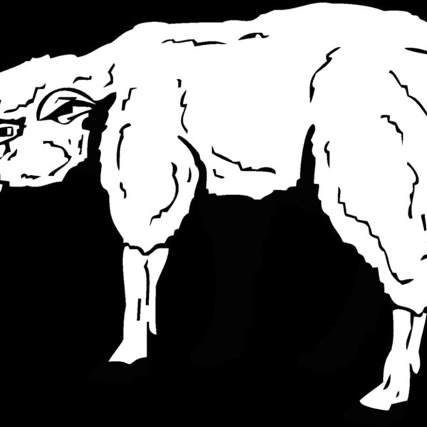 lamb Thumbnail