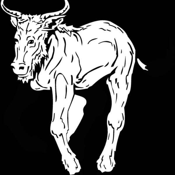 mountain goat Thumbnail