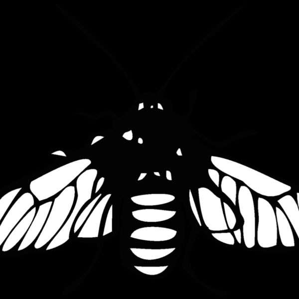 bee mimi Thumbnail