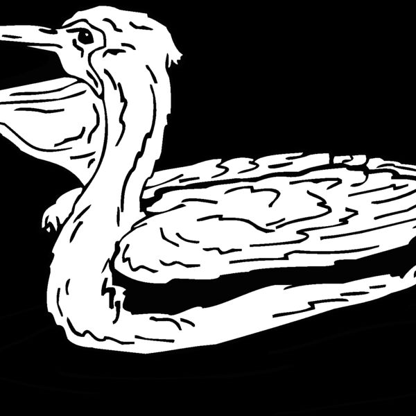 pelican2 Thumbnail
