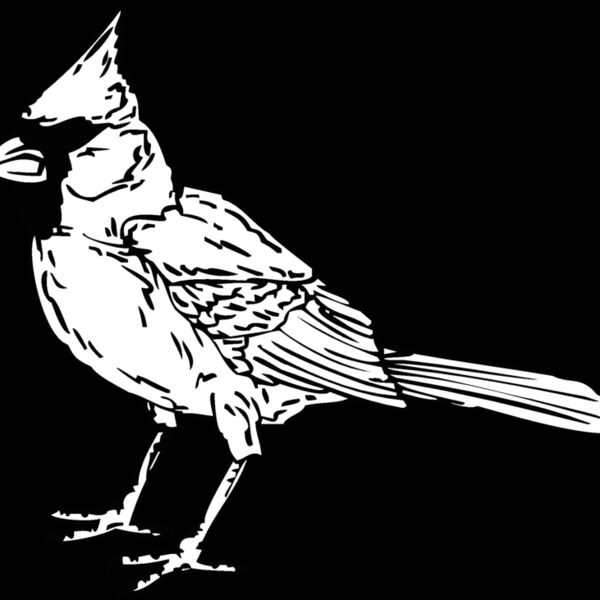 cardinal Thumbnail