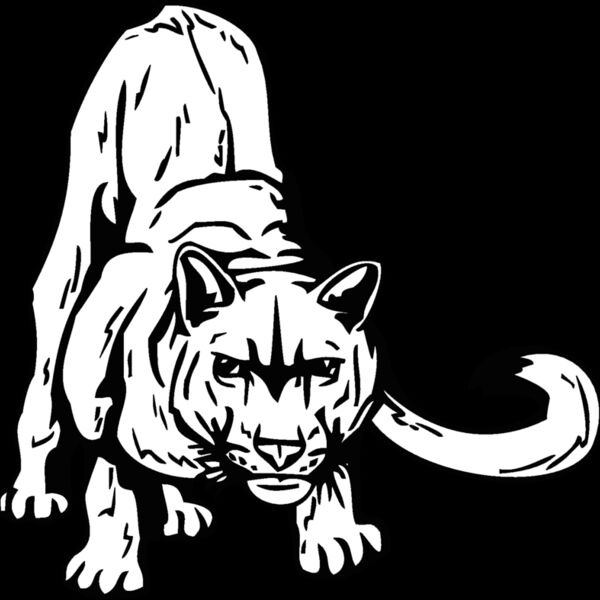 cougar4 Thumbnail
