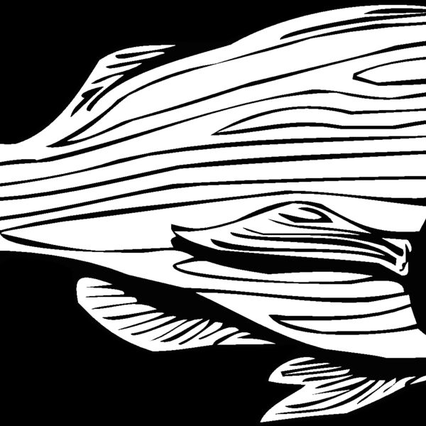 fish2 Thumbnail