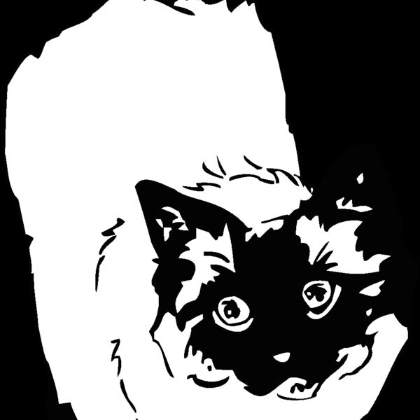 ragdoll Thumbnail