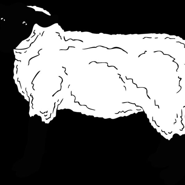 sheep3 Thumbnail