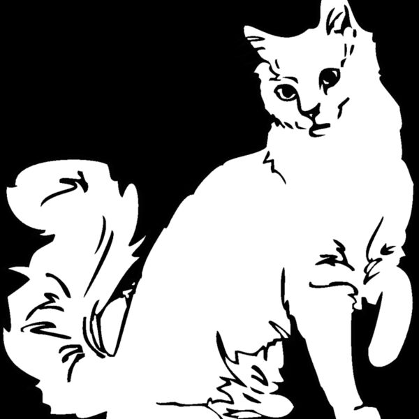 angora c Thumbnail